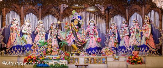 Chandan Yatra – Day 5  Vana Bihari Vesa!
