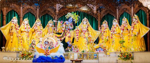 Chandan Yatra – Day 7  Chakra Narayana Vesa!