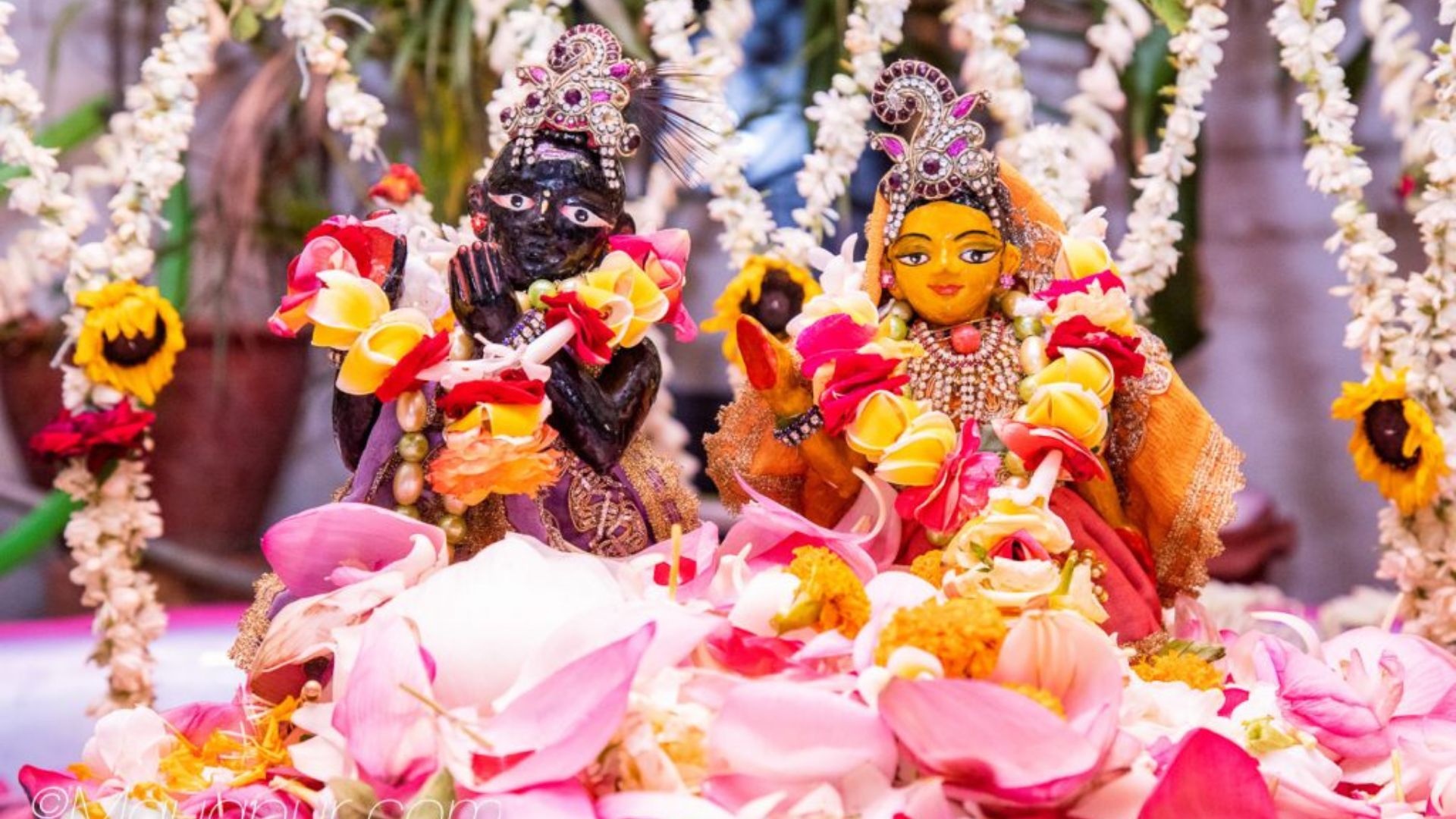 Salila Vihar image