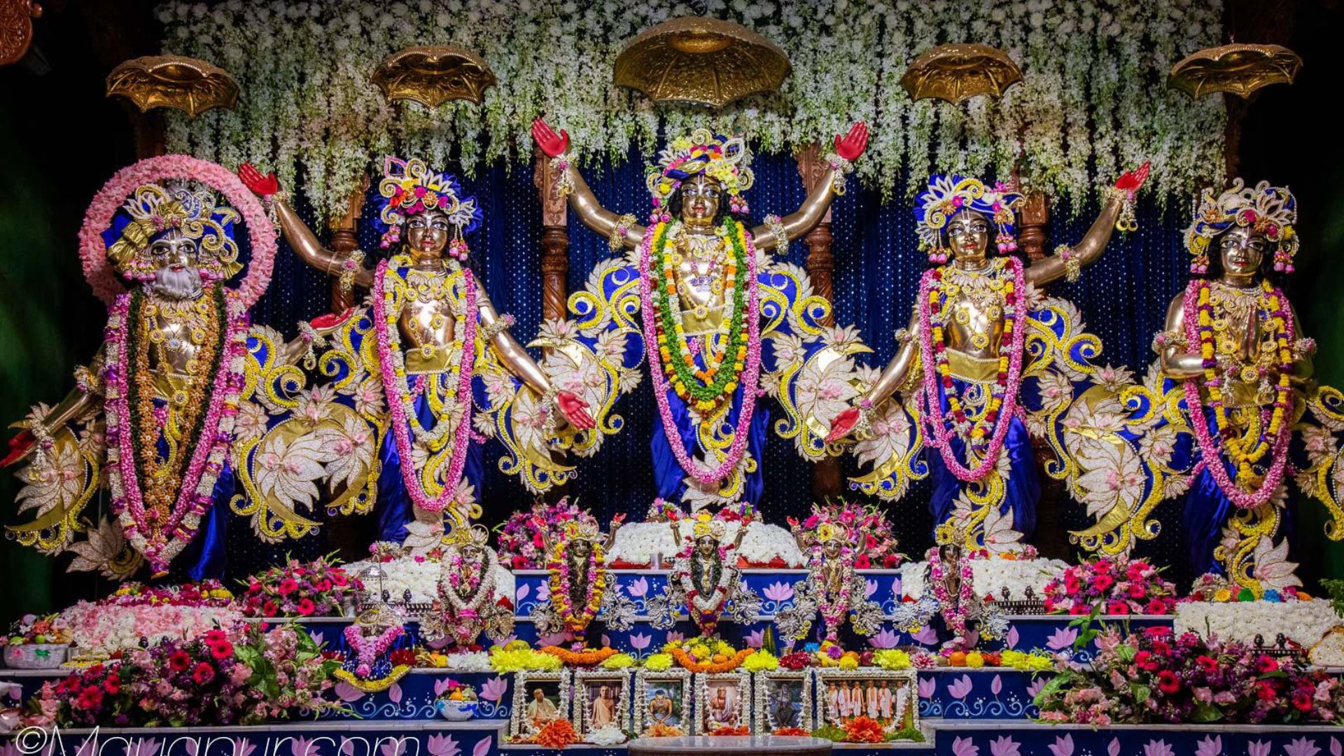Sri Advaita Appearance image