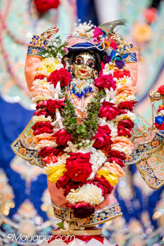 Daily Darshan