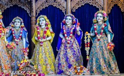 Daily Darshan
