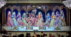 Daily Darshan