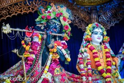 Daily Darshan