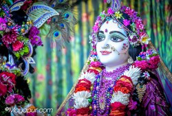 Daily Darshan