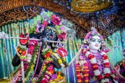 Daily Darshan