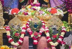 Daily Darshan
