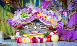 Daily Darshan