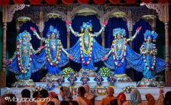 Daily Darshan