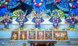 Daily Darshan