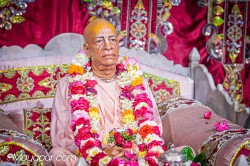 Daily Darshan