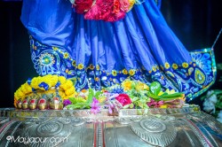Daily Darshan