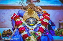 Daily Darshan