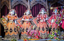 Daily Darshan