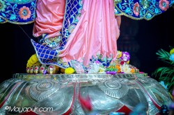 Daily Darshan
