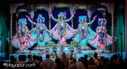 Daily Darshan