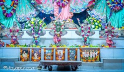 Daily Darshan