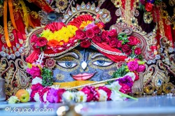 Daily Darshan