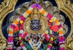 Daily Darshan