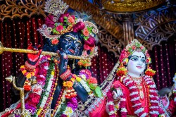 Daily Darshan