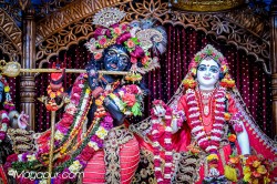 Daily Darshan