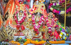 Daily Darshan