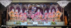 Daily Darshan