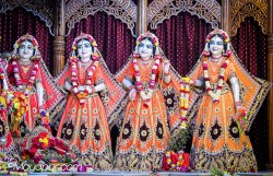 Daily Darshan