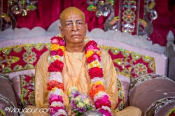 Daily Darshan