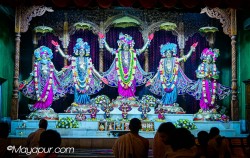 Daily Darshan