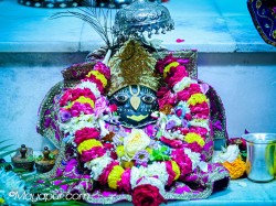 Daily Darshan