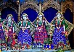 Daily Darshan
