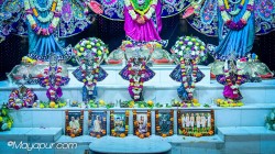Daily Darshan
