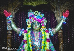Daily Darshan