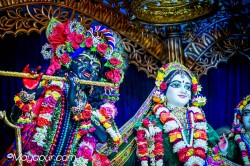 Daily Darshan