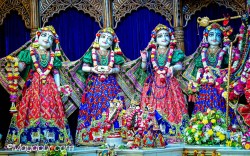 Daily Darshan