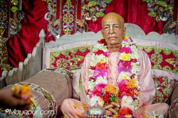 Daily Darshan
