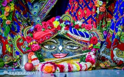 Daily Darshan