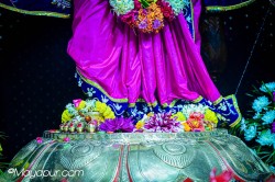Daily Darshan