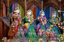 Daily Darshan