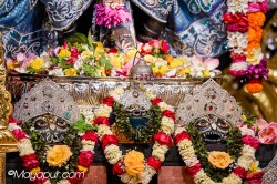 Daily Darshan