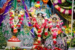 Daily Darshan