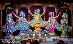 Daily Darshan