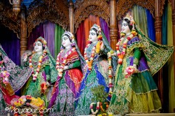 Daily Darshan