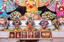 Daily Darshan