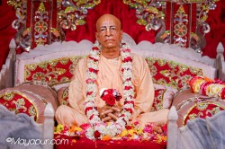 Daily Darshan