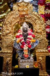 Daily Darshan