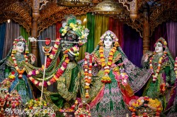 Daily Darshan