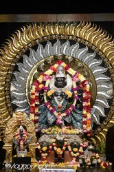Daily Darshan