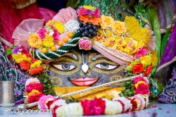 Daily Darshan